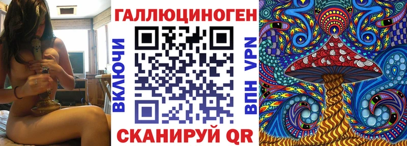 купить Самара omg ссылки Галлюциногенные грибы Psilocybe