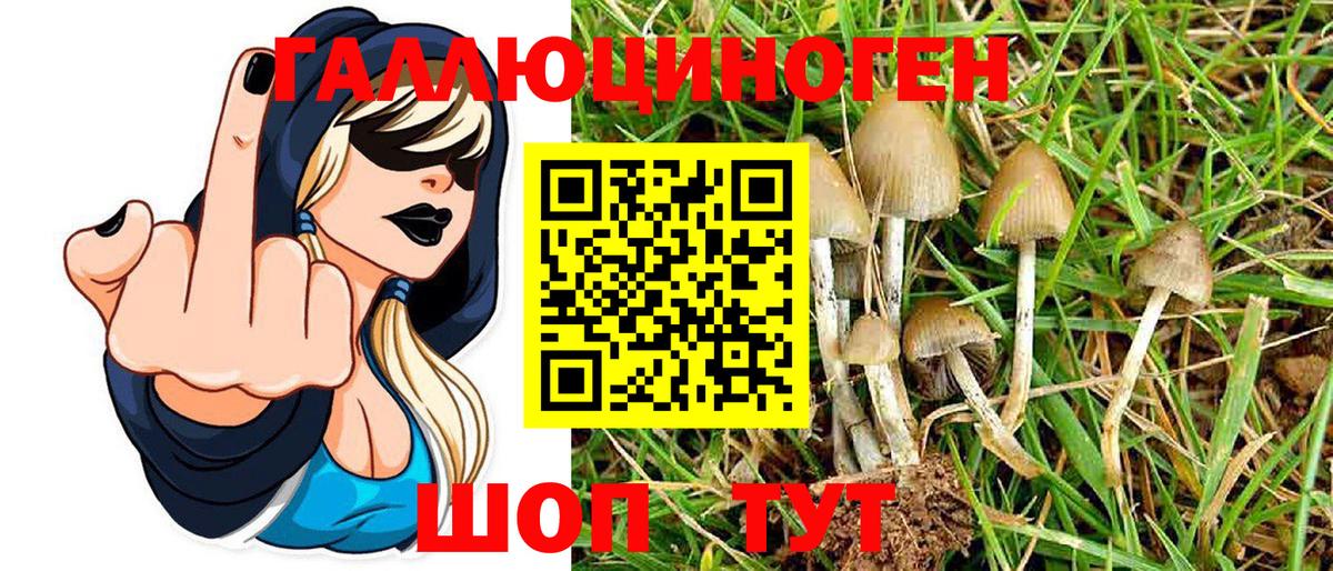 Галлюциногенные грибы Psilocybe  Вход с VPN  хочу   Самара 